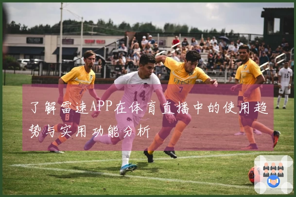 了解雷速APP在体育直播中的使用趋势与实用功能分析
