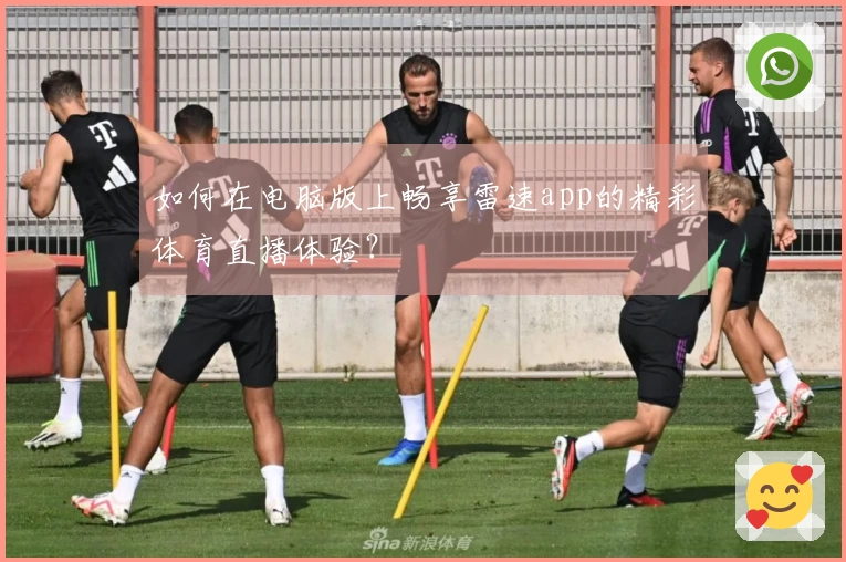 如何在电脑版上畅享雷速app的精彩体育直播体验？