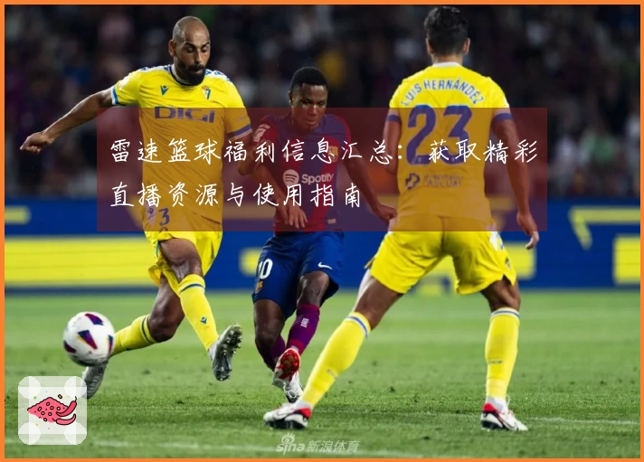 雷速篮球福利信息汇总：获取精彩直播资源与使用指南