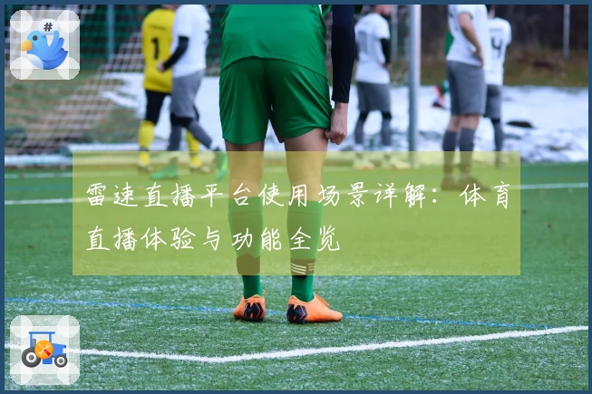 雷速直播平台使用场景详解：体育直播体验与功能全览